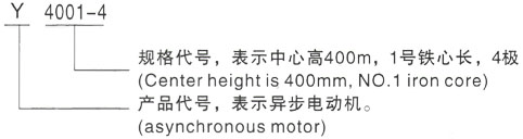 西安泰富西玛Y系列(H355-1000)高压YR6301-8三相异步电机型号说明