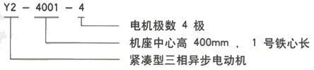 YR系列(H355-1000)高压YR6301-8三相异步电机西安西玛电机型号说明